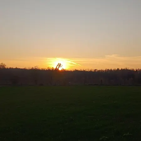 Mazury *