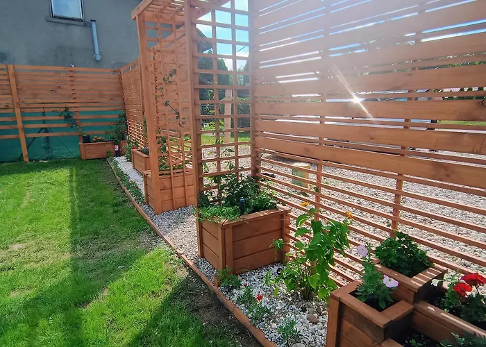 Mazury Krzywe (Mragowo)